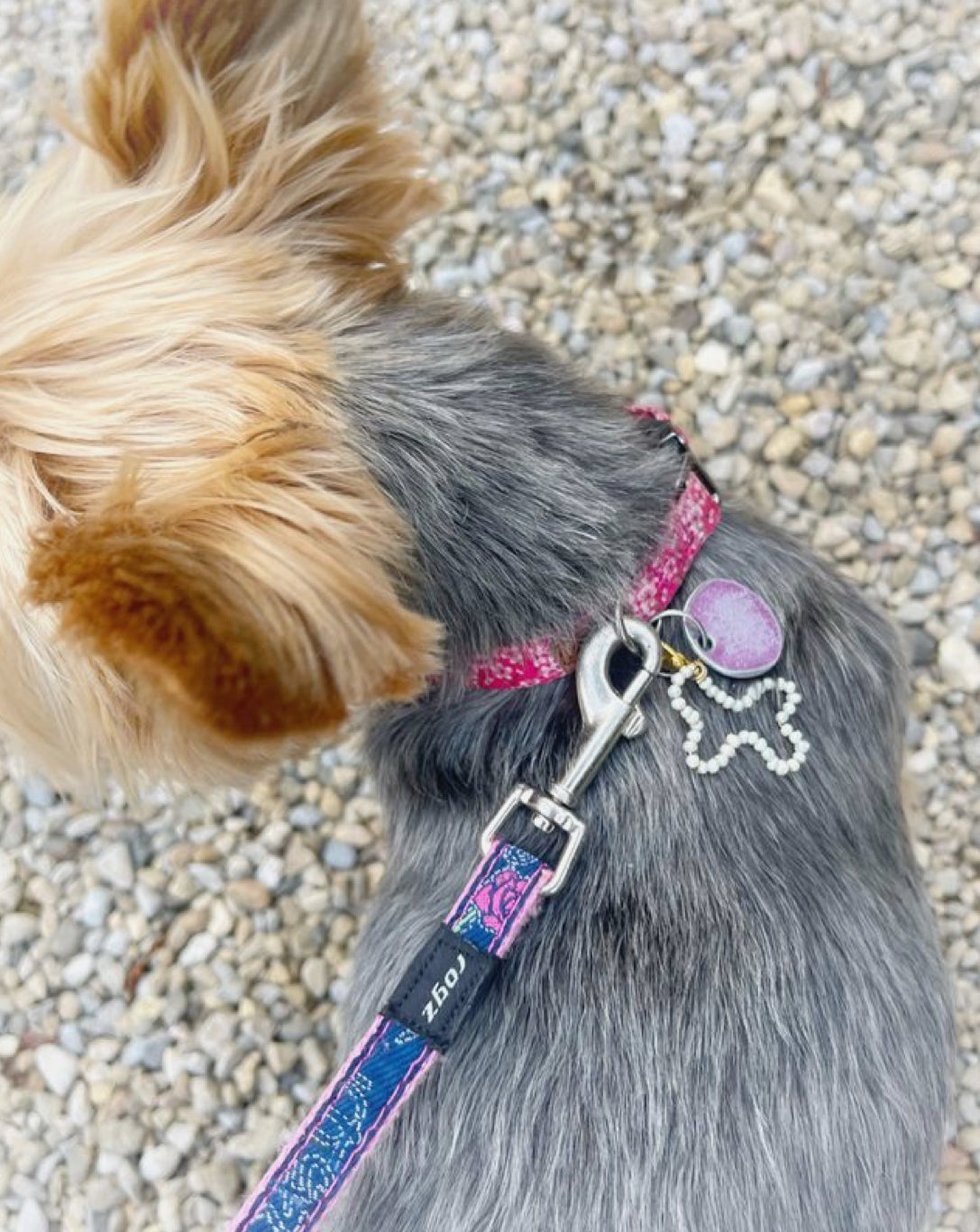 Pet Collar Charm Accessories, Clip-On Dog Tag Charm, Real Pearl Bone Dog Collar Charm, Poo Bag Accessories, Pet Owner Gift, Gift for Dog Mum