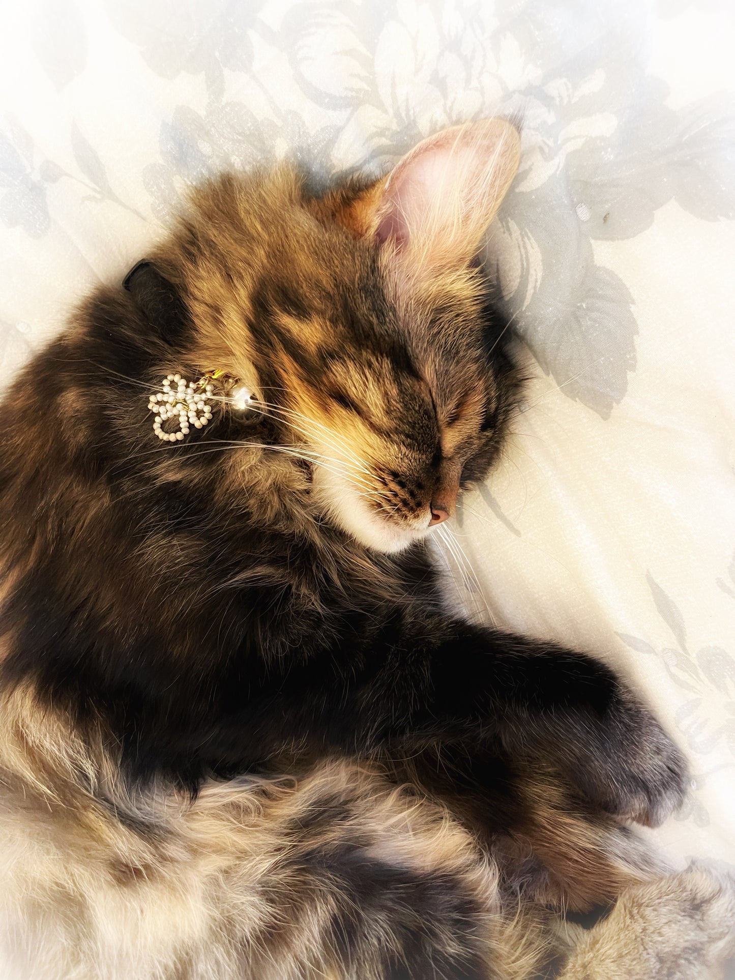 Pet Collar Charm Accessories, Cat/Dog Clip-On Tag Charm, Paw Print Collar Charm, Pet Owner Gift, Gift for Dog Mum, Gift for Cat Owner