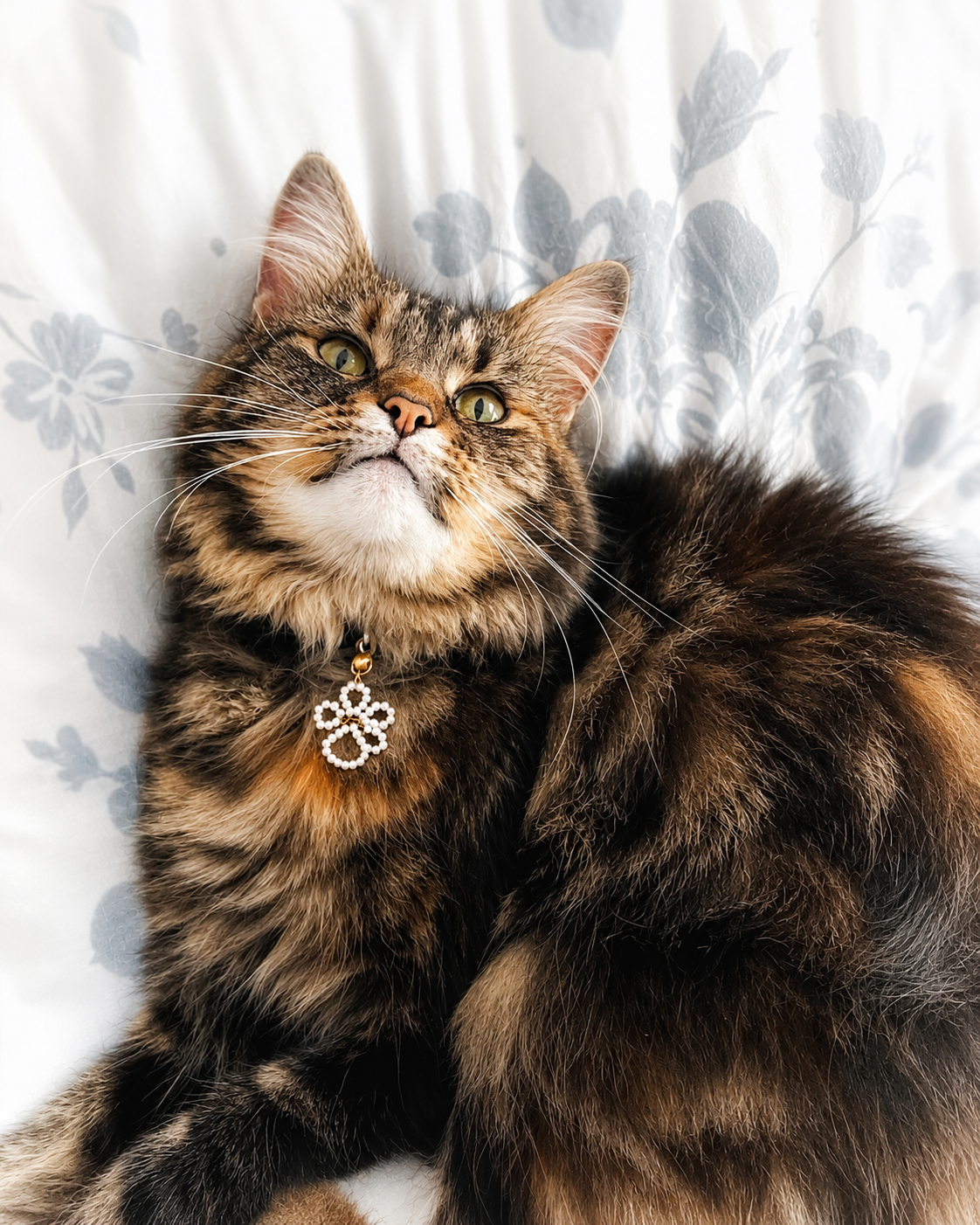 Pet Collar Charm Accessories, Cat/Dog Clip-On Tag Charm, Paw Print Collar Charm, Pet Owner Gift, Gift for Dog Mum, Gift for Cat Owner