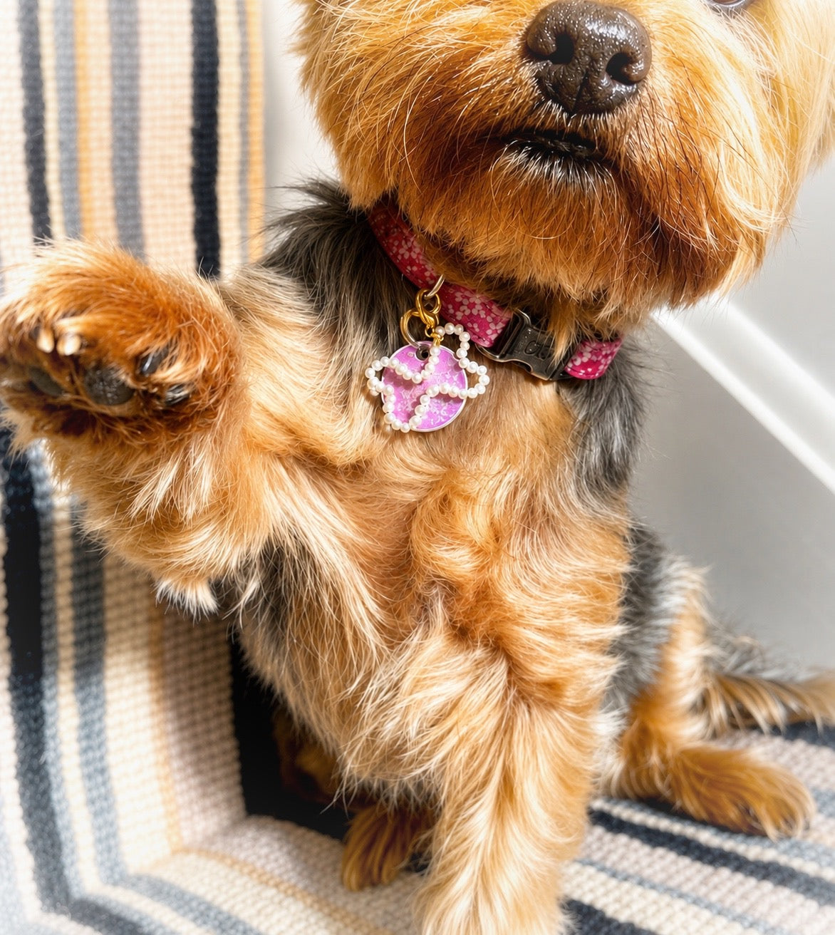 Pet Collar Charm Accessories, Clip-On Dog Tag Charm, Real Pearl Bone Dog Collar Charm, Poo Bag Accessories, Pet Owner Gift, Gift for Dog Mum
